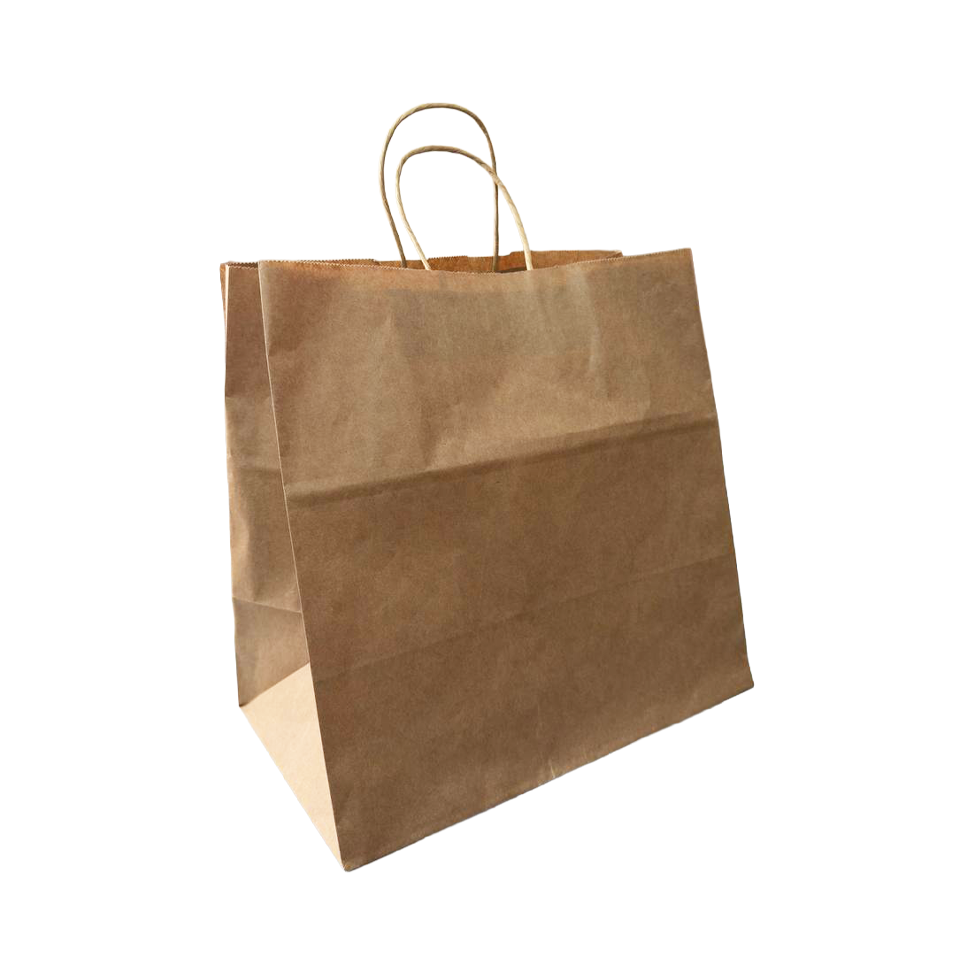 KRAFT_TWISTED HANDLE Twisted Handle Kraft Paper Bags - Image 1