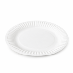 Paper Plate