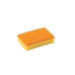 Scrub Sponge